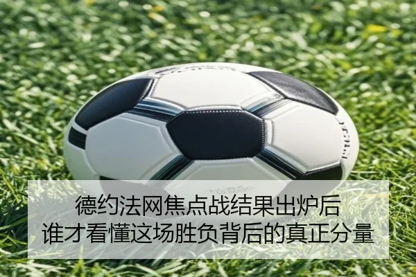 德约法网焦点战结果出炉后 谁才看懂这场胜负背后的真正分量